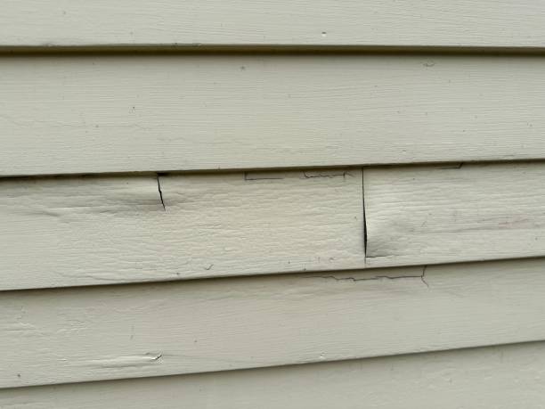 Best Garage Cleanout  in Butler, MO